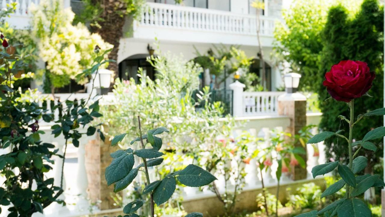 Niki Apartments Paralia Dionisiou Zewnętrze zdjęcie